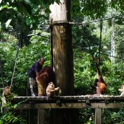 Expedice BORNEO - 14. fotka