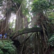 BALI srdcem - 3. fotka
