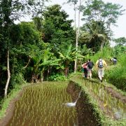 BALI a GILI s reiki - mezi ohni - 8. fotka