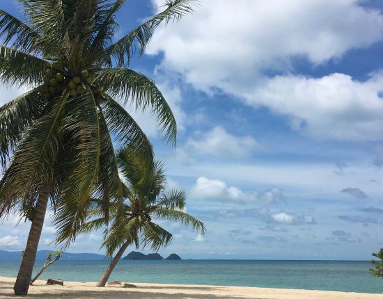 THAJSKO, KOH PHANGAN - s jógou do země úsměvů